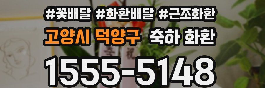 고양시 덕양구 축하 화환