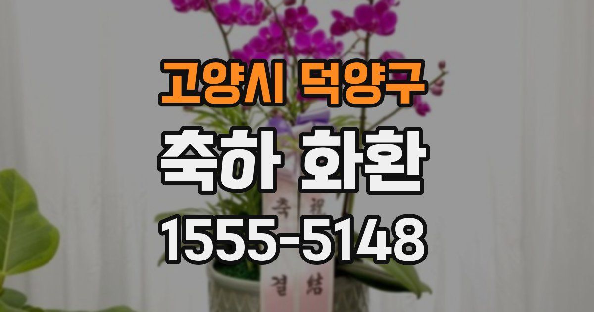 고양시 덕양구 축하 화환