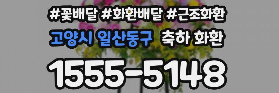고양시 일산동구 축하 화환
