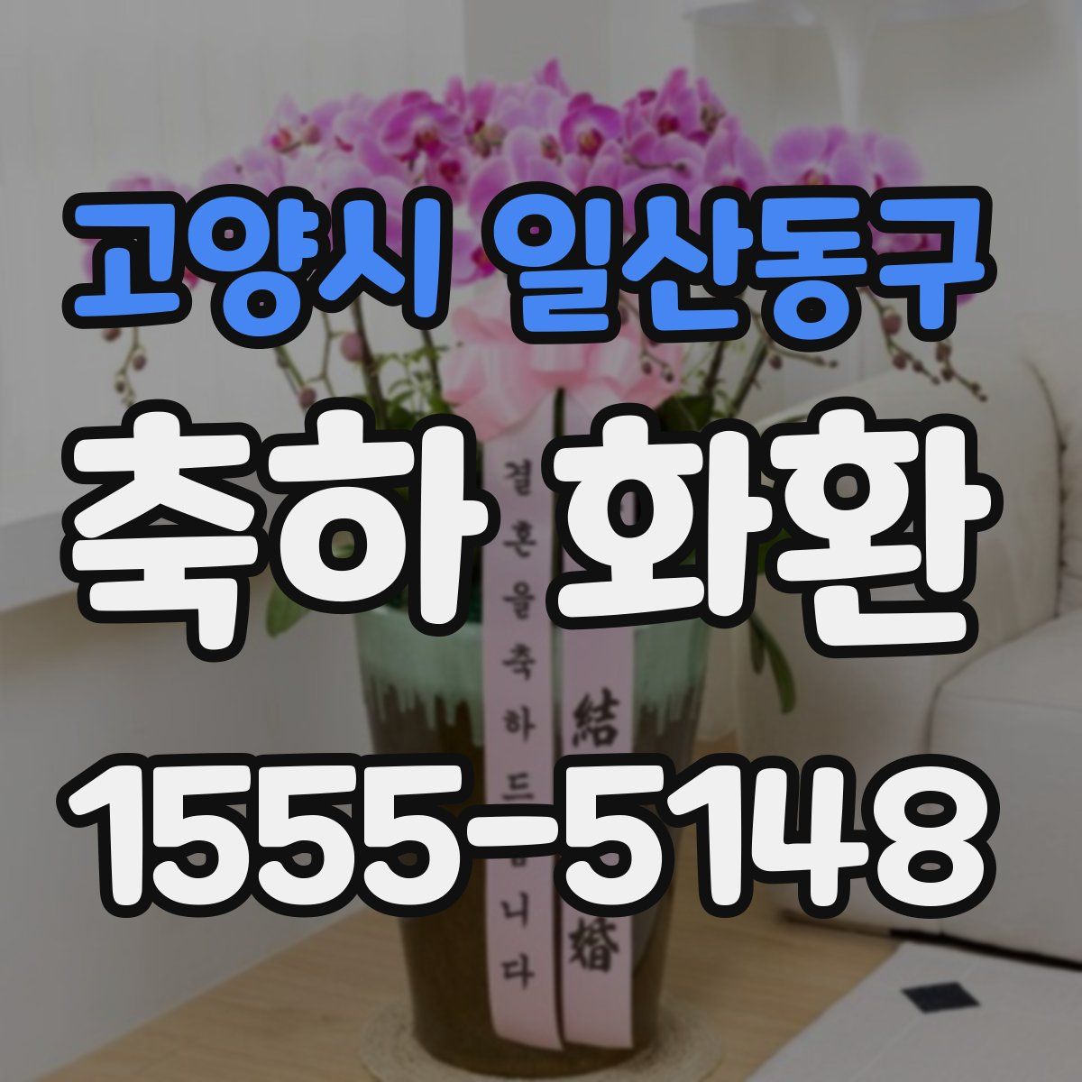 고양시 일산동구 축하 화환