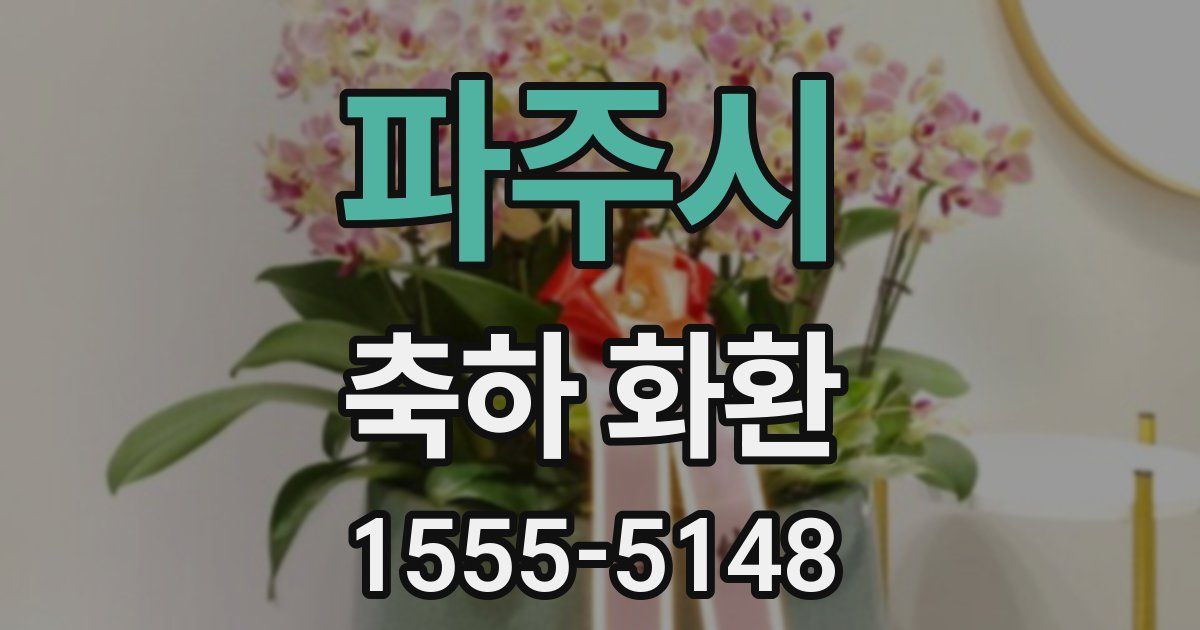 파주시 축하 화환