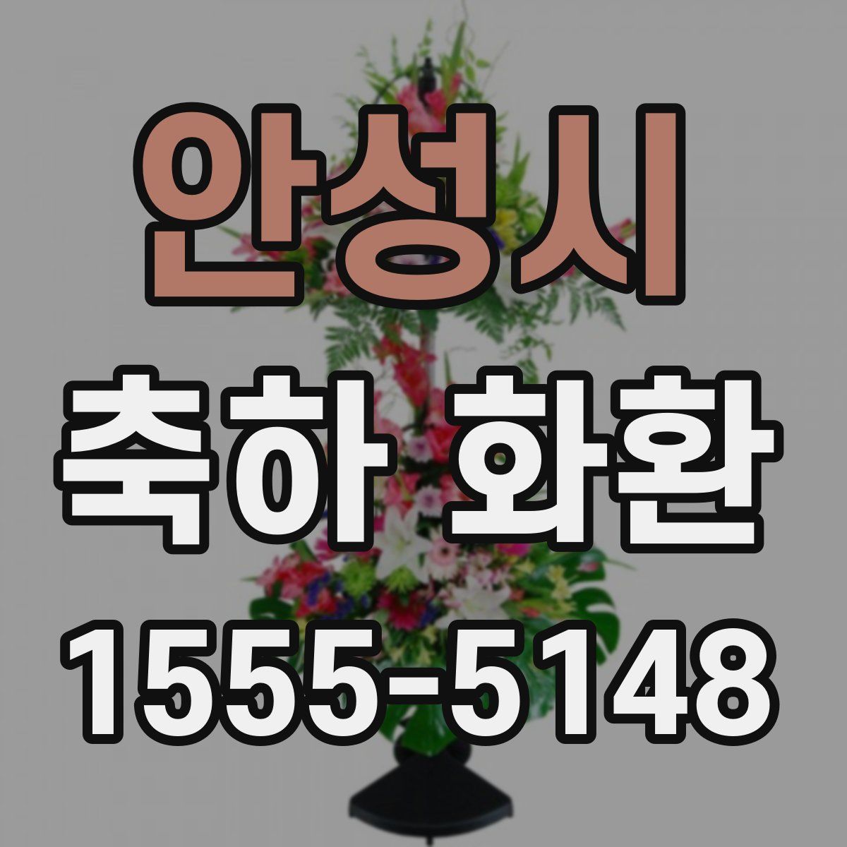 안성시 축하 화환