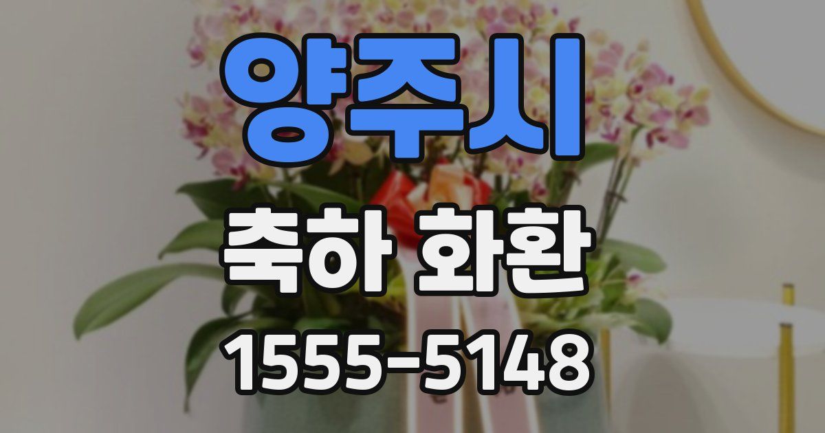 양주시 축하 화환