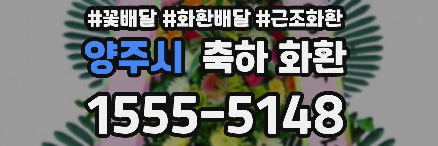 양주시 축하 화환
