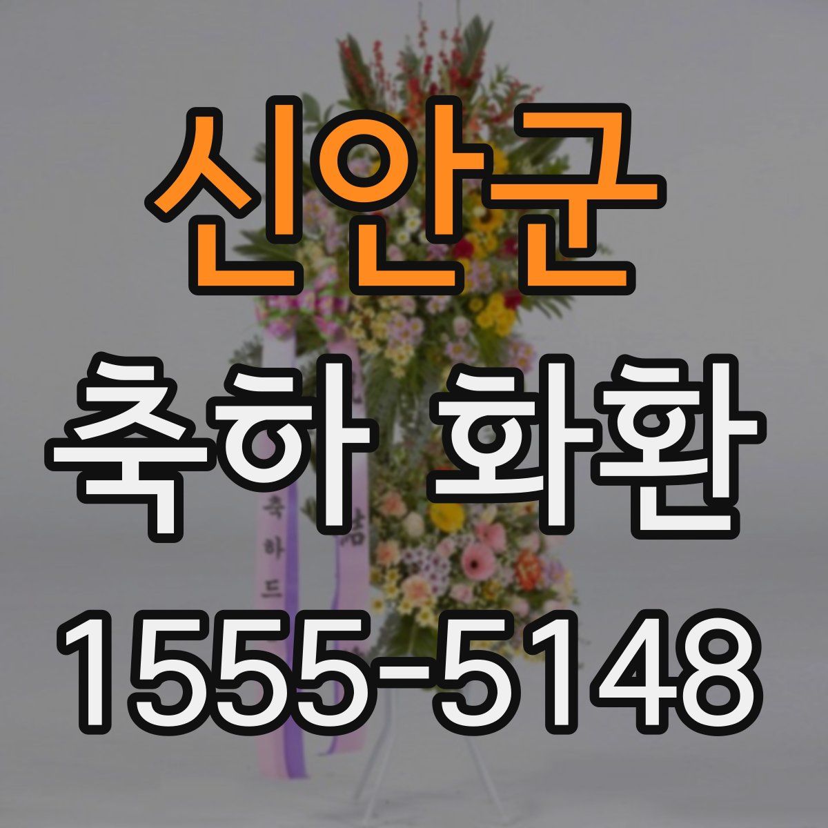신안군 축하 화환