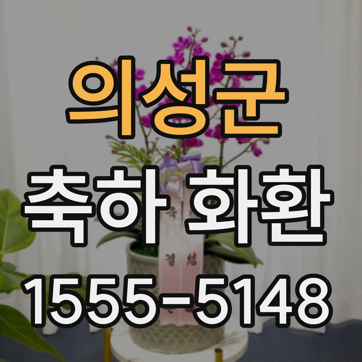 의성군 축하 화환