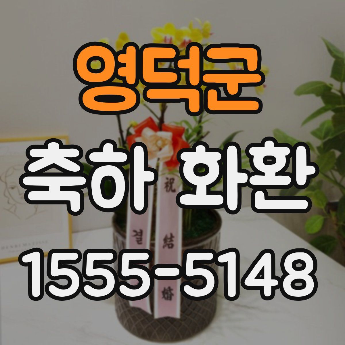 영덕군 축하 화환