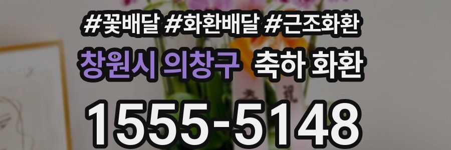 창원시 의창구 축하 화환