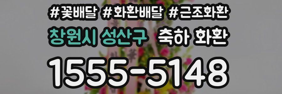 창원시 성산구 축하 화환