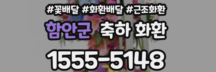 함안군 축하 화환