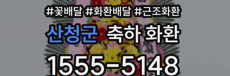 산청군 축하 화환
