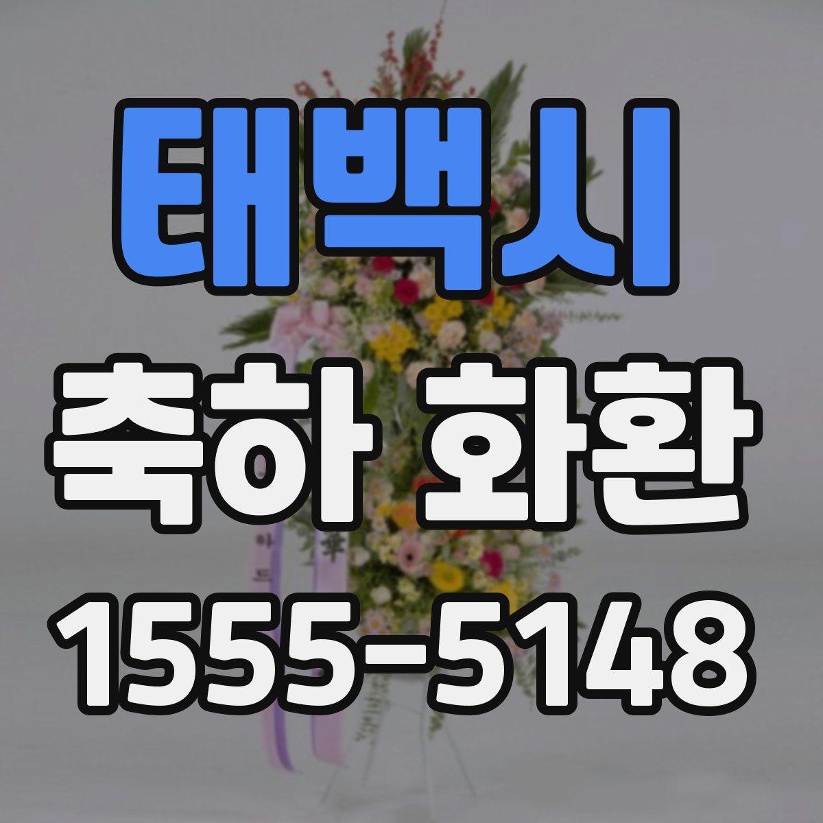태백시 축하 화환