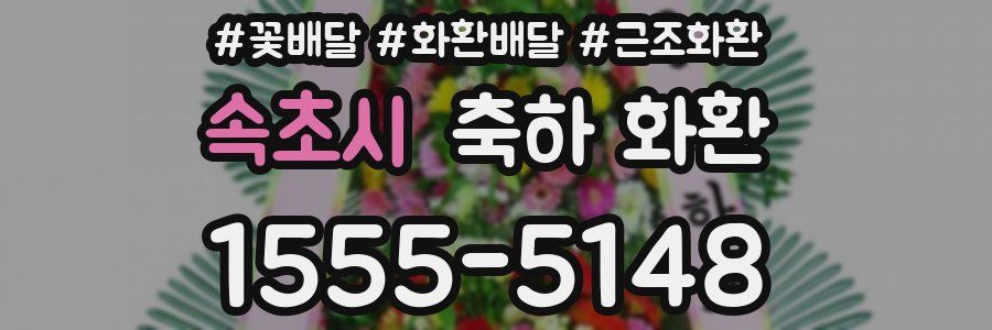 속초시 축하 화환