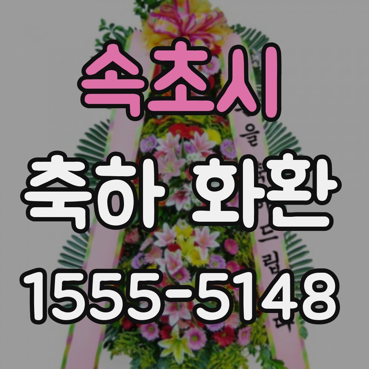 속초시 축하 화환