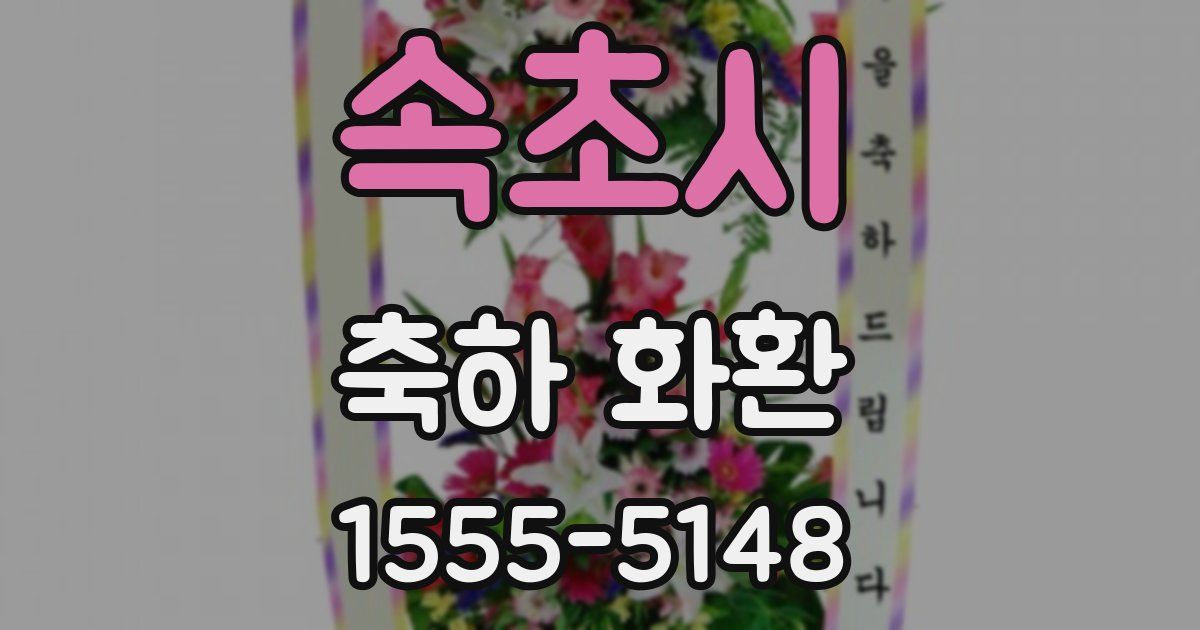 속초시 축하 화환