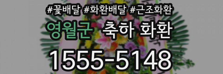 영월군 축하 화환