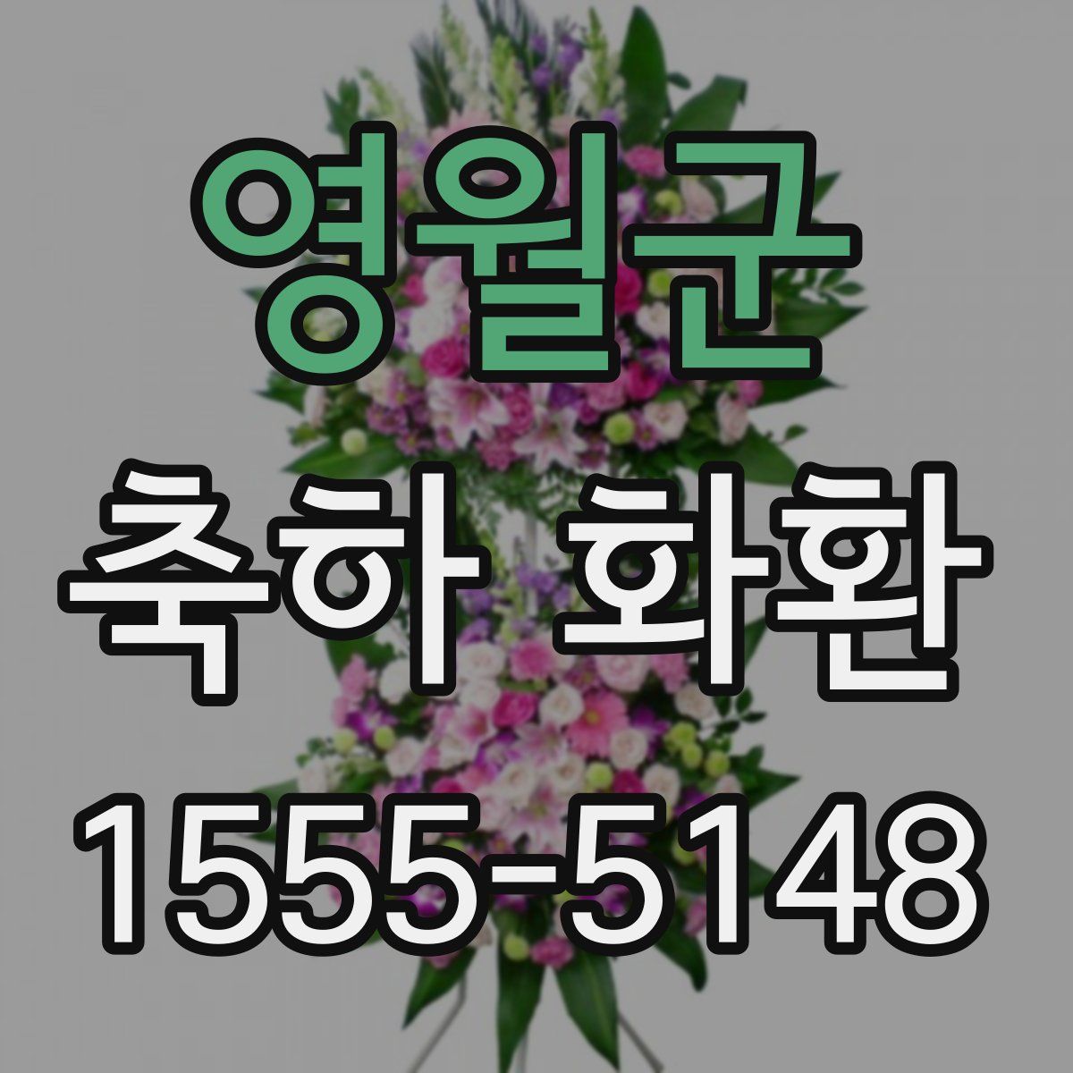 영월군 축하 화환