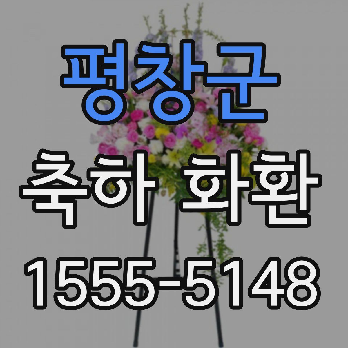 평창군 축하 화환