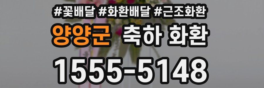양양군 축하 화환