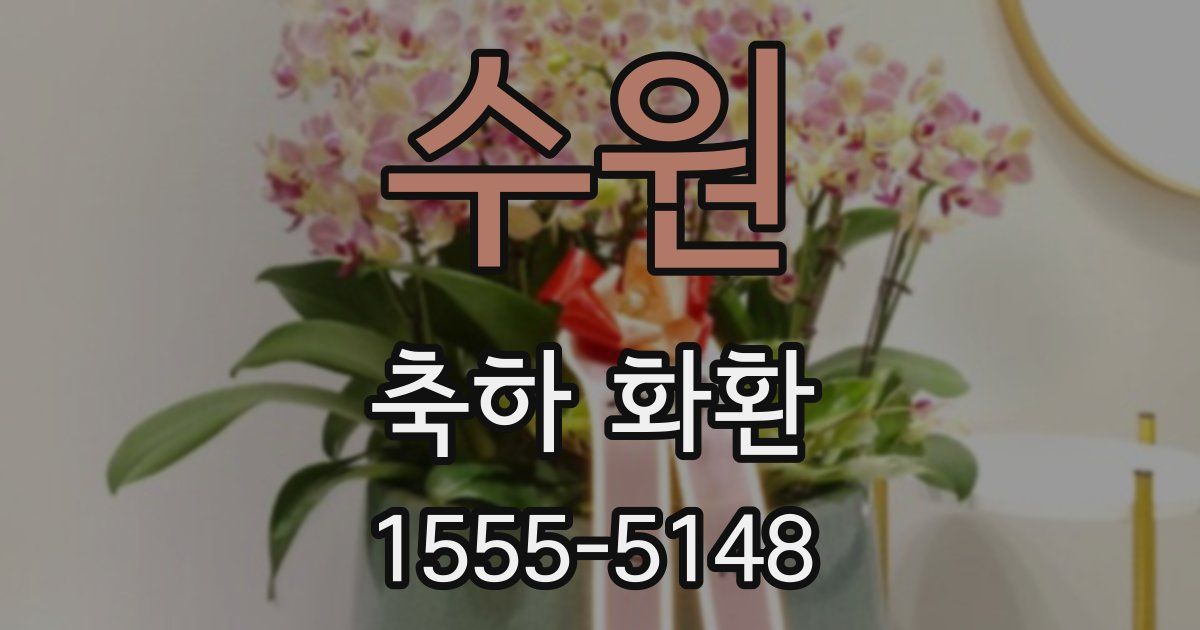 수원 축하 화환