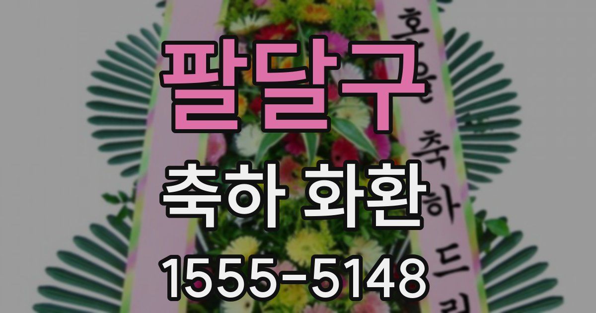 팔달구 축하 화환