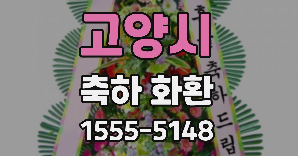 고양시 축하 화환