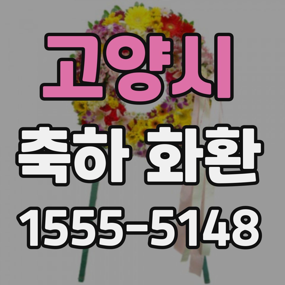 고양시 축하 화환