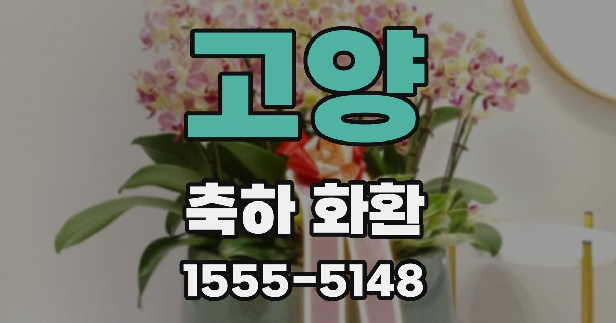 고양 축하 화환