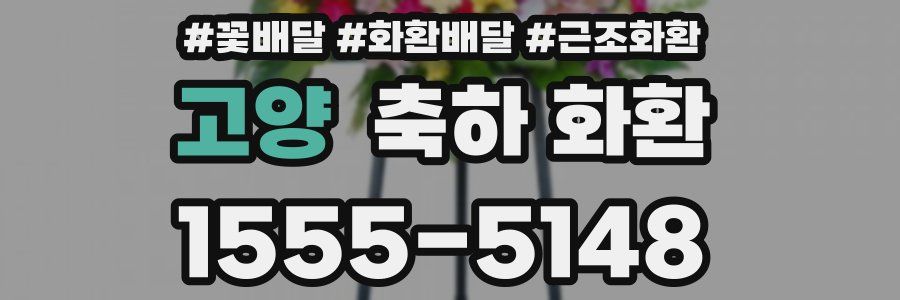 고양 축하 화환