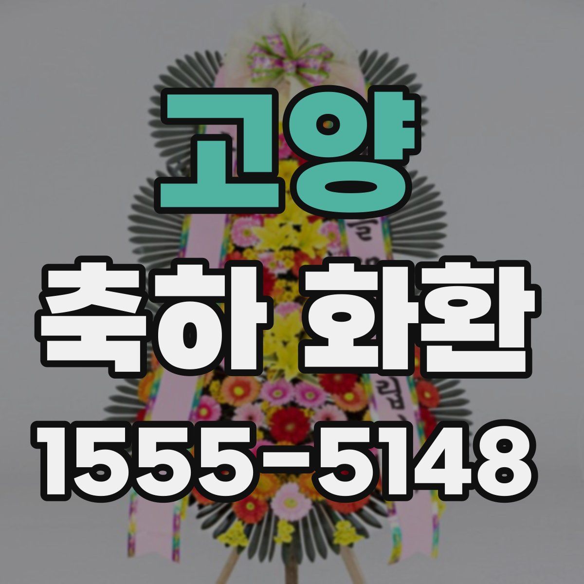 고양 축하 화환