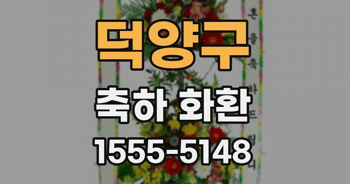 덕양구 축하 화환
