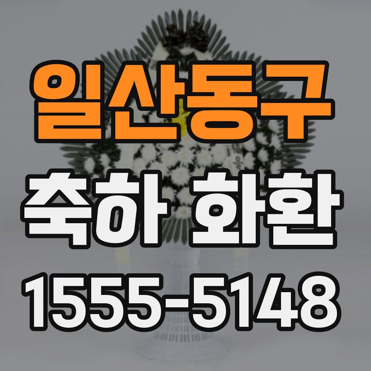 일산동구 축하 화환