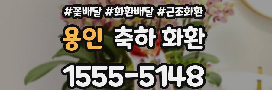 용인 축하 화환