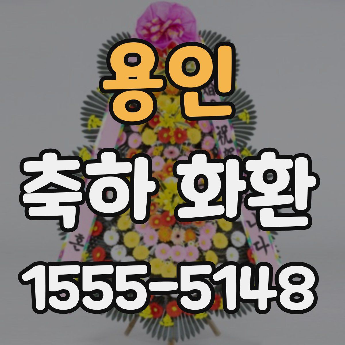 용인 축하 화환