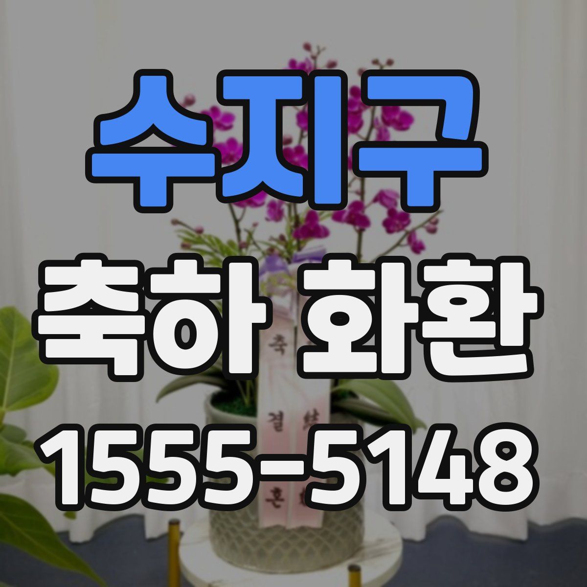 수지구 축하 화환