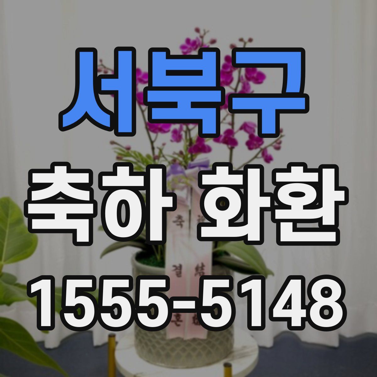 서북구 축하 화환