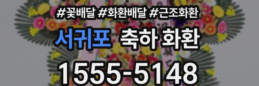 서귀포 축하 화환