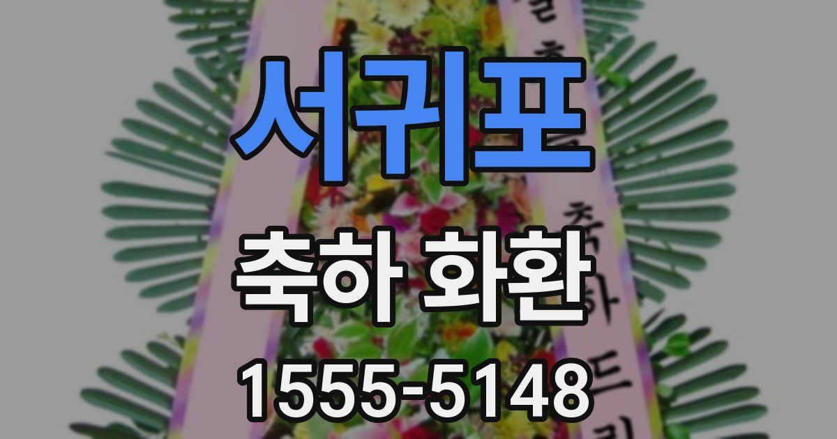 서귀포 축하 화환