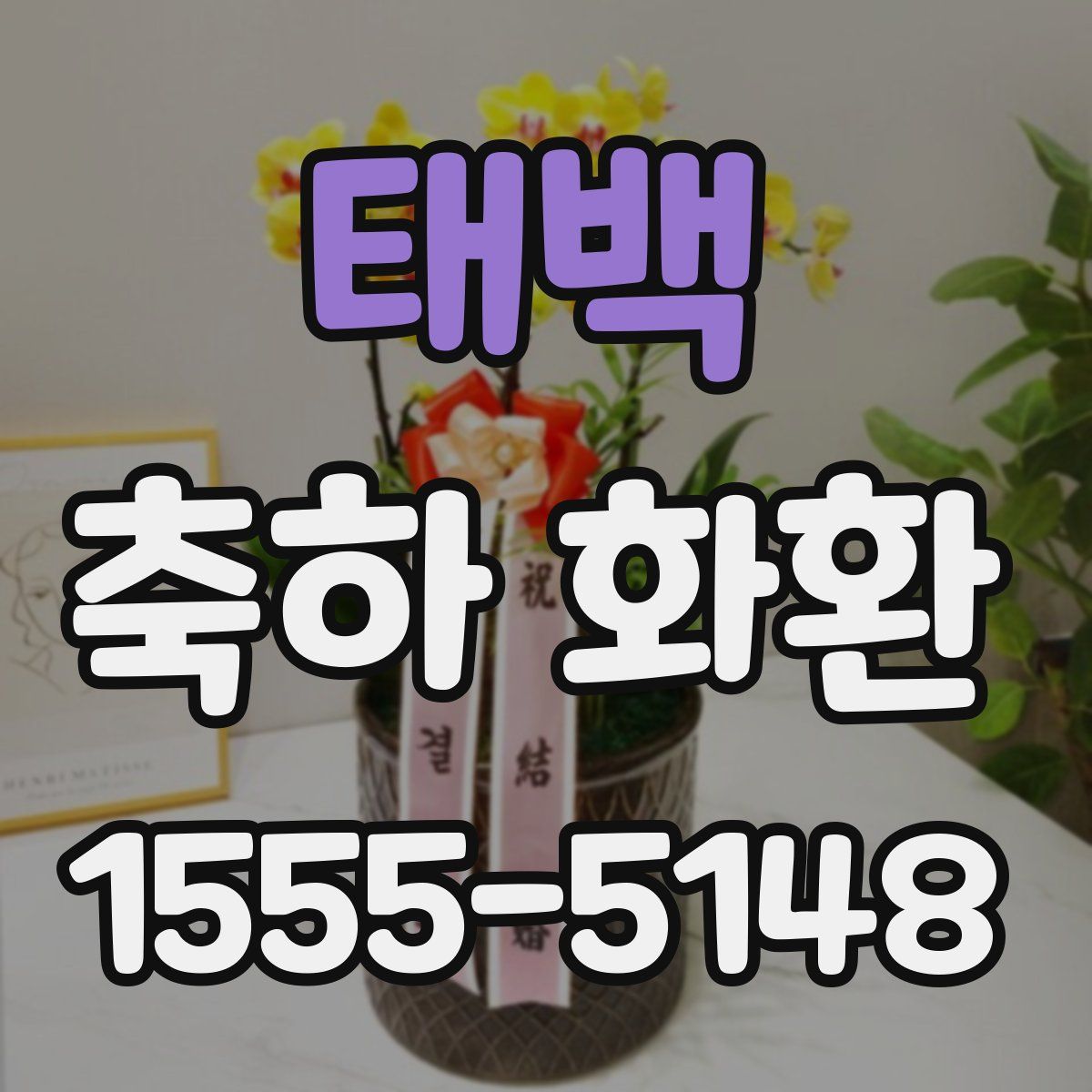 태백 축하 화환