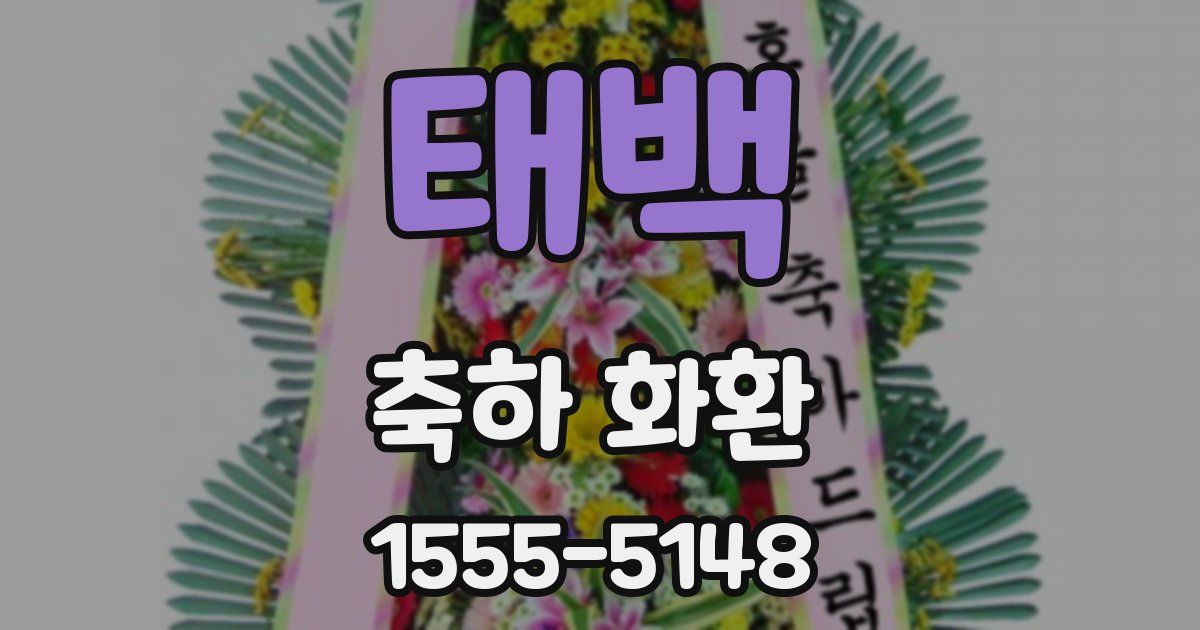 태백 축하 화환