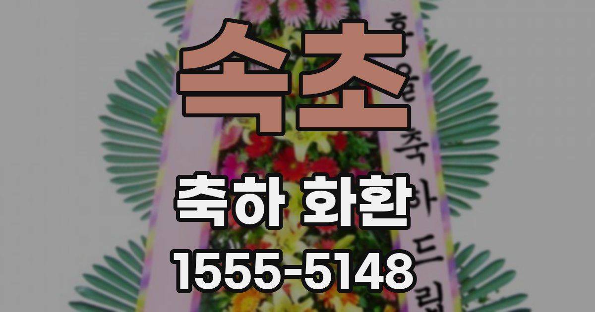 속초 축하 화환
