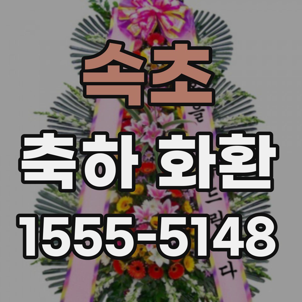 속초 축하 화환