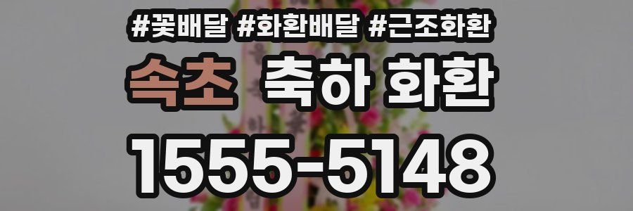 속초 축하 화환
