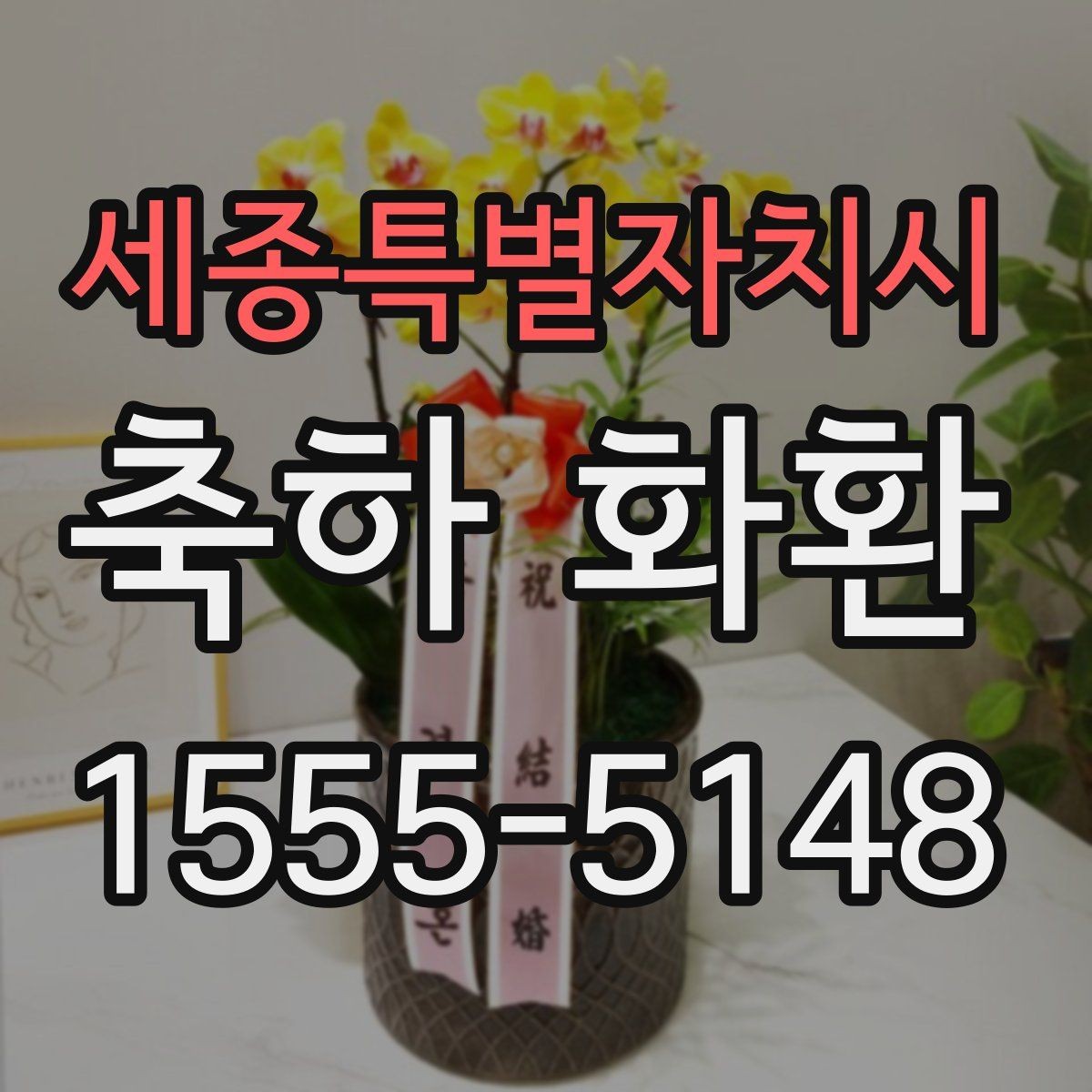 세종특별자치시 축하 화환 지역별 배송 안내 확인하기