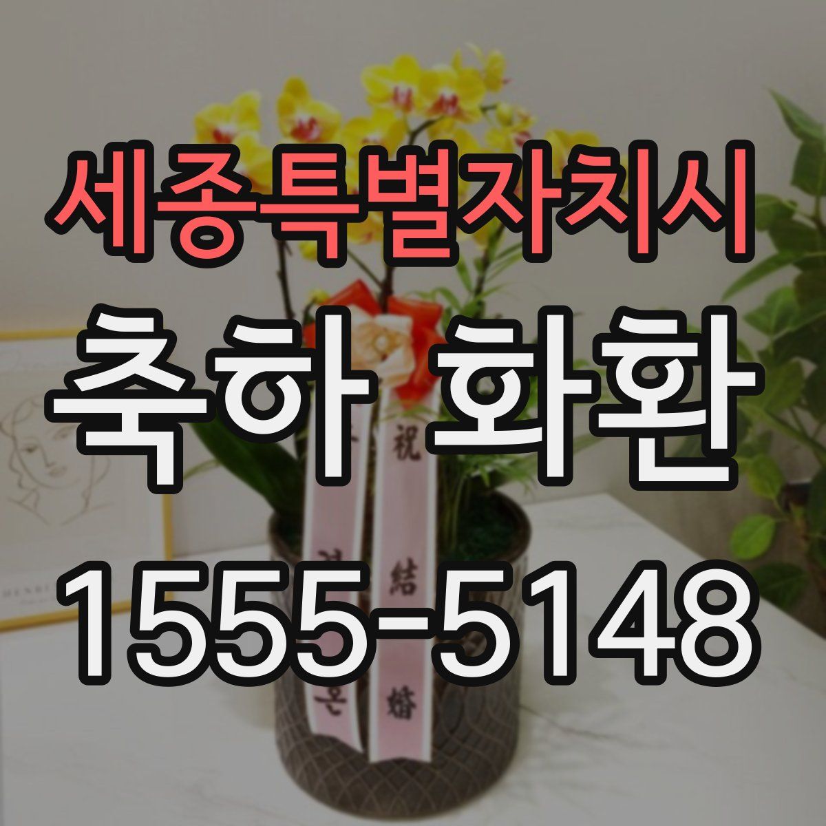 세종특별자치시 축하 화환