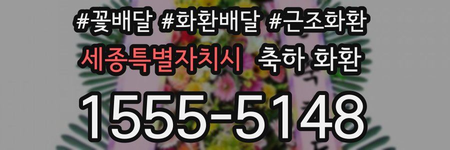 세종특별자치시 축하 화환