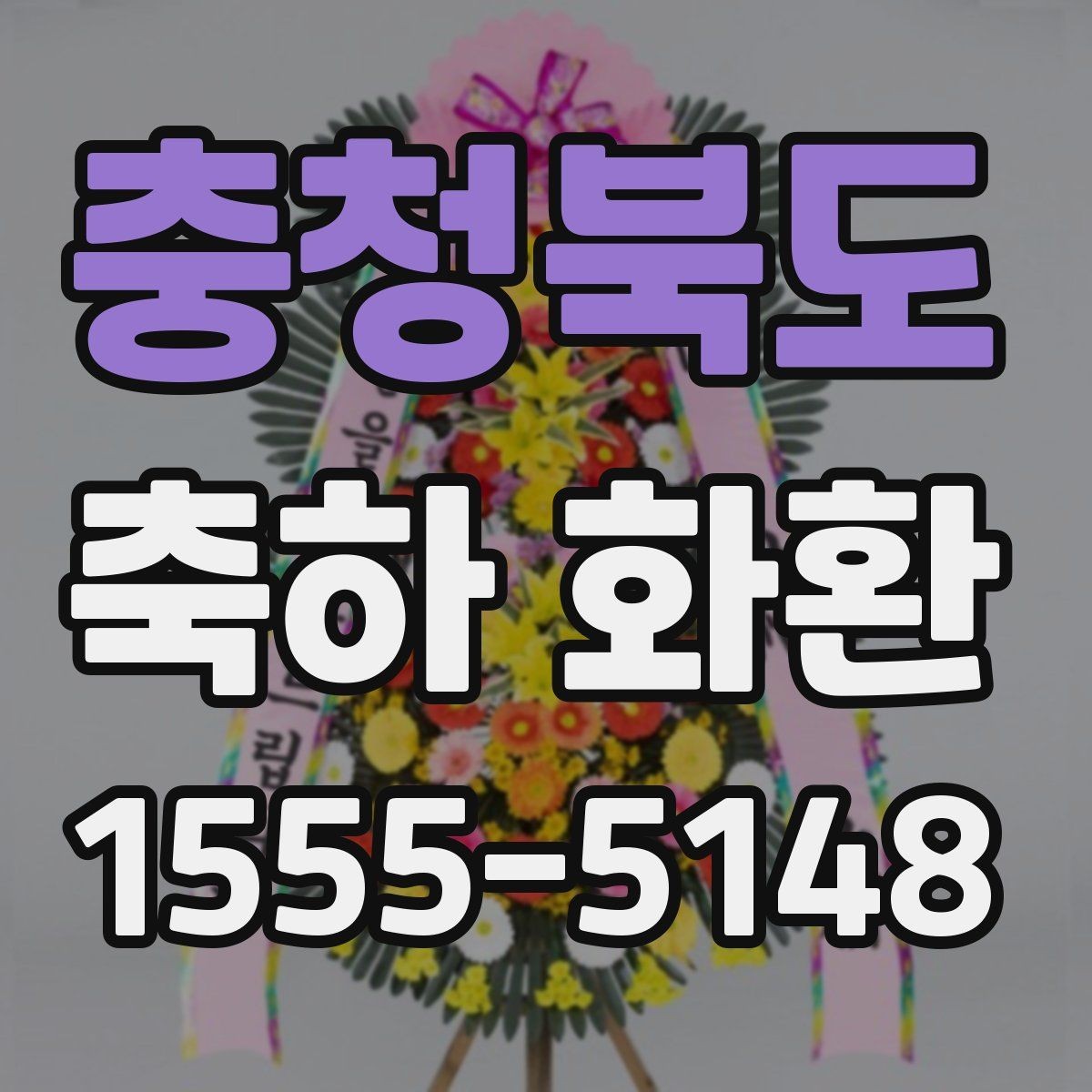 충청북도 축하 화환 주문 전 비교해야 할 핵심 포인트
