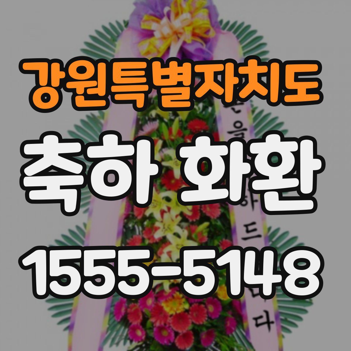 강원특별자치도 축하 화환