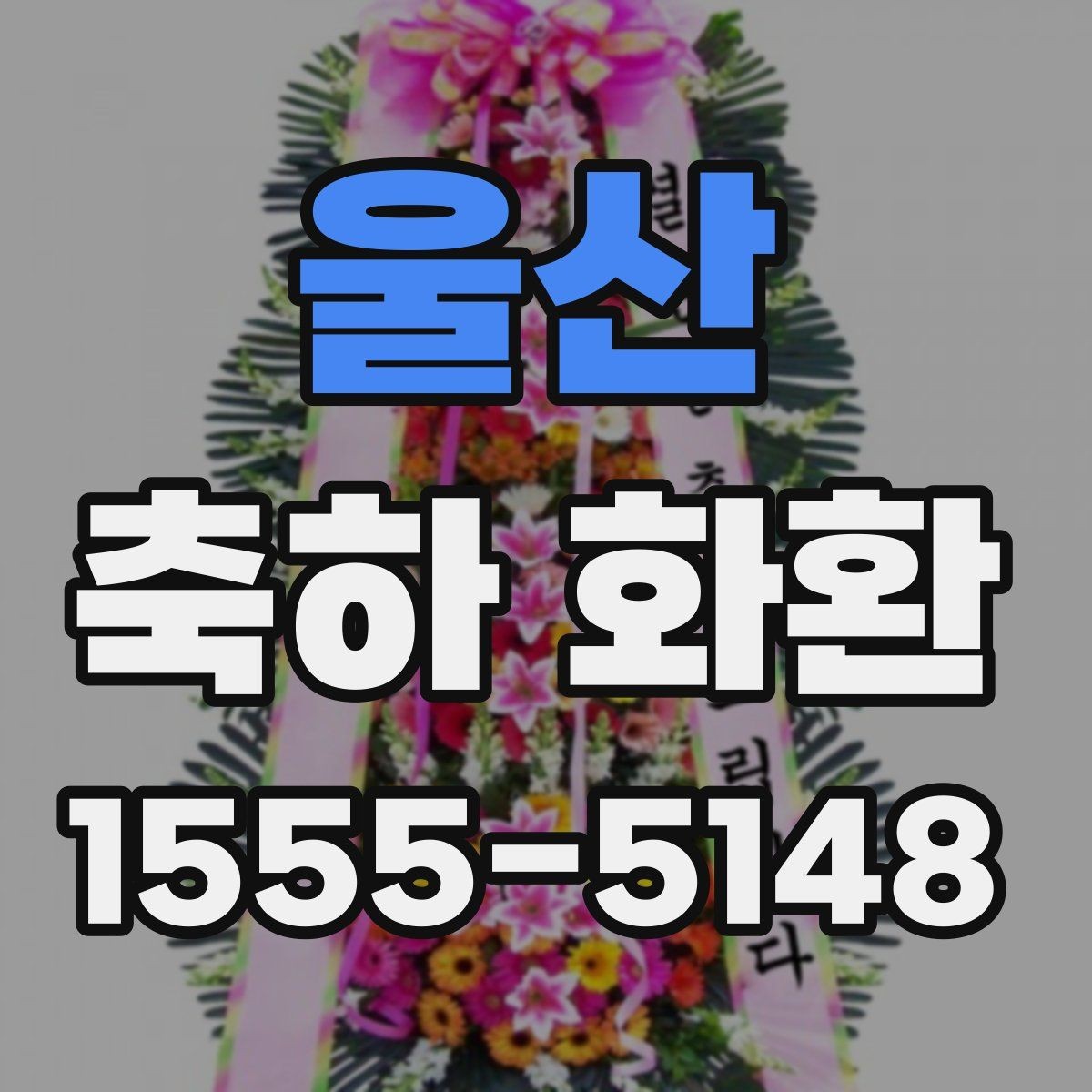 울산 축하 화환 전시 공간에 맞춘 배치 팁