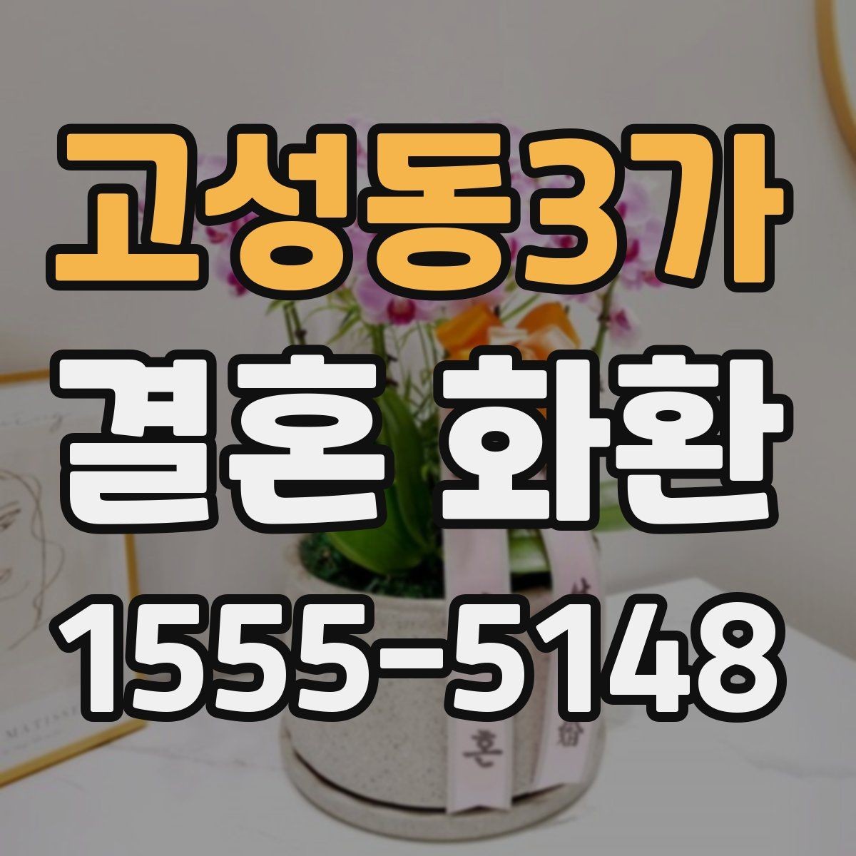 고성동3가 결혼 화환 배달 가능 지역 확인하기